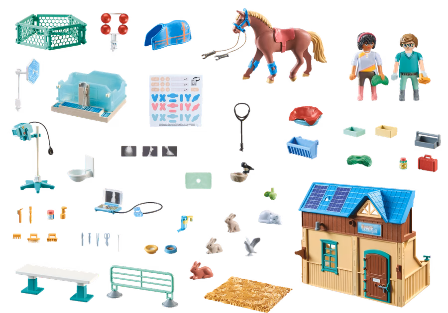 Reittherapie und Veterinärpraxis